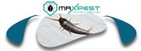 MAX Silverfish Control Adelaide image 8